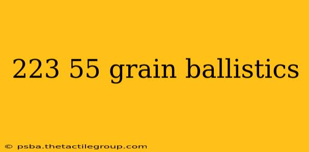 223 55 grain ballistics