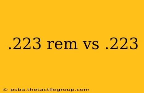 .223 rem vs .223