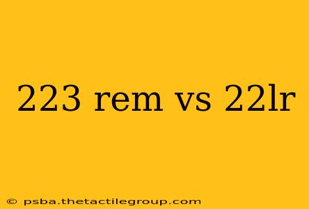 223 rem vs 22lr