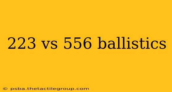 223 vs 556 ballistics