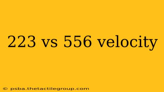 223 vs 556 velocity