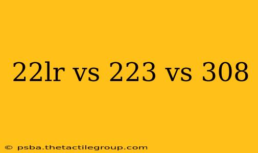 22lr vs 223 vs 308