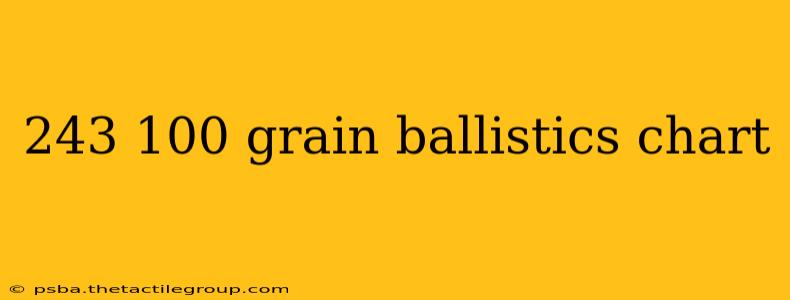 243 100 grain ballistics chart