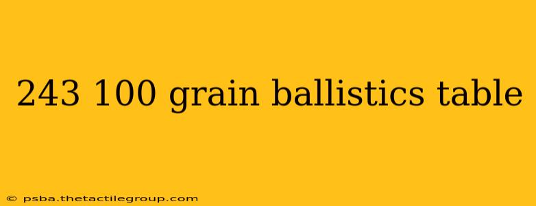 243 100 grain ballistics table