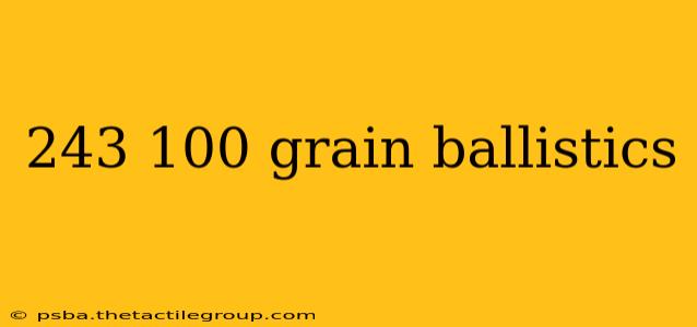 243 100 grain ballistics