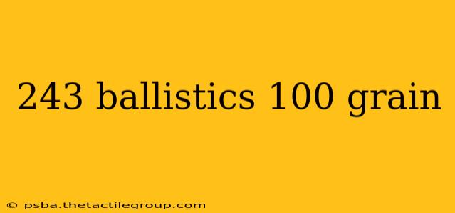 243 ballistics 100 grain