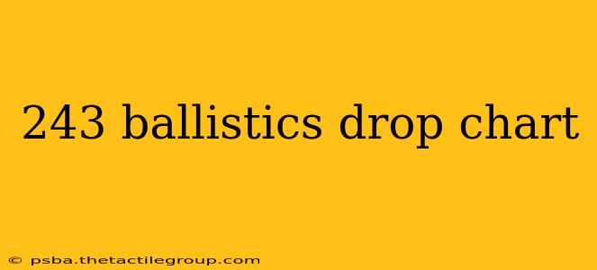 243 ballistics drop chart