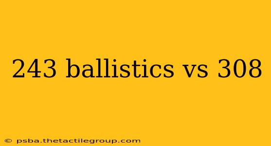 243 ballistics vs 308