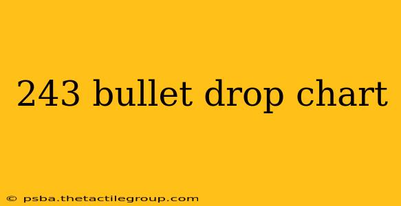 243 bullet drop chart