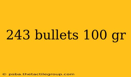 243 bullets 100 gr