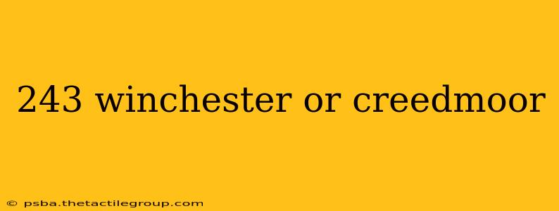 243 winchester or creedmoor