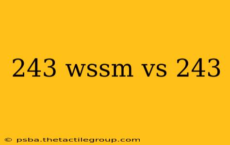 243 wssm vs 243