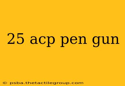 25 acp pen gun