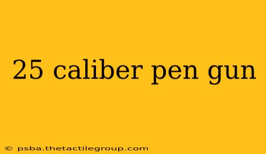 25 caliber pen gun