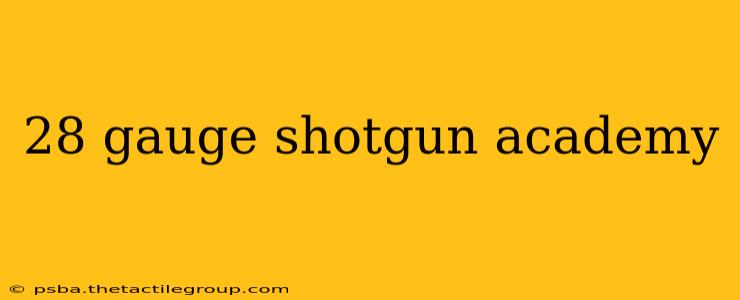 28 gauge shotgun academy