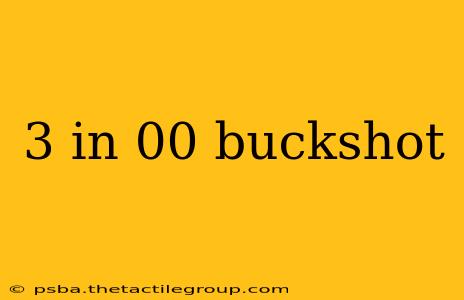 3 in 00 buckshot