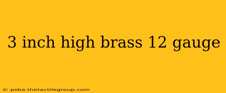 3 inch high brass 12 gauge