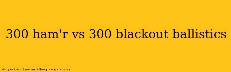 300 ham'r vs 300 blackout ballistics