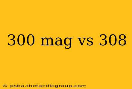 300 mag vs 308