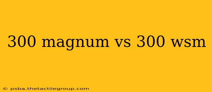 300 magnum vs 300 wsm