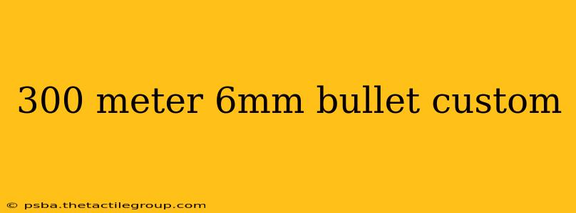 300 meter 6mm bullet custom