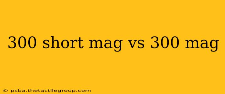 300 short mag vs 300 mag