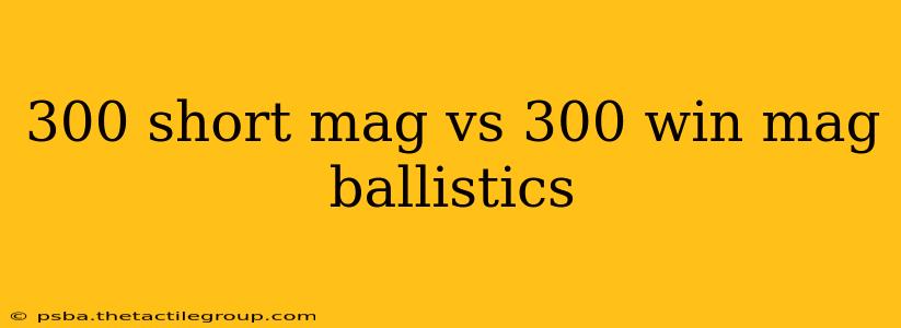 300 short mag vs 300 win mag ballistics