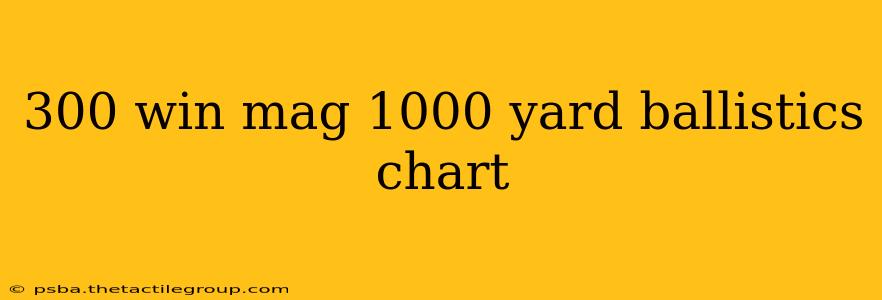 300 win mag 1000 yard ballistics chart