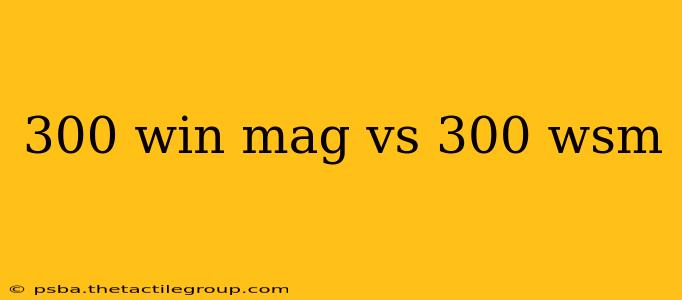 300 win mag vs 300 wsm