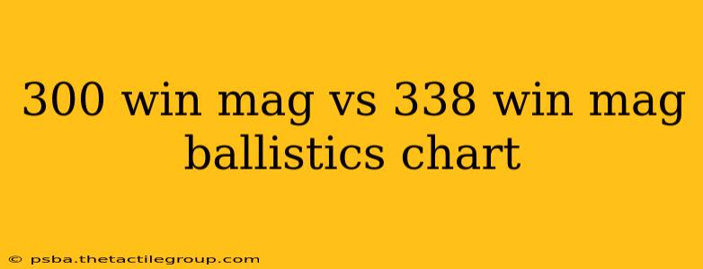 300 win mag vs 338 win mag ballistics chart