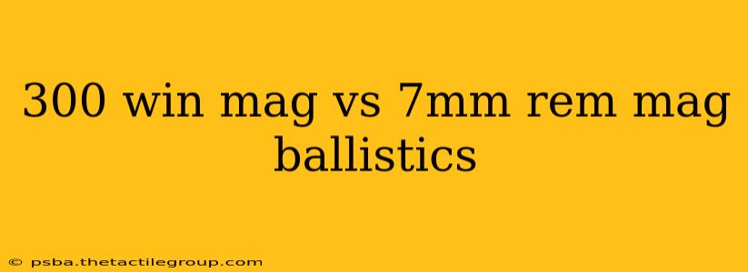 300 win mag vs 7mm rem mag ballistics