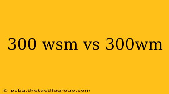 300 wsm vs 300wm