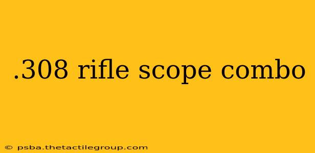 .308 rifle scope combo