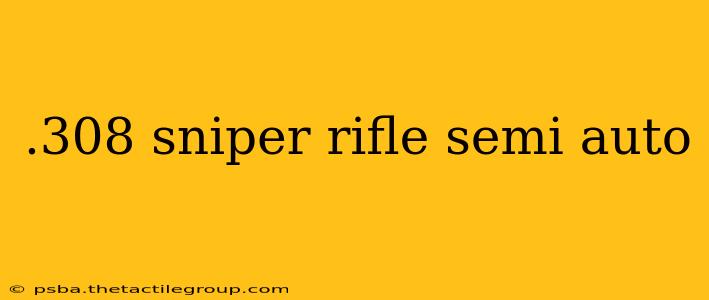 .308 sniper rifle semi auto