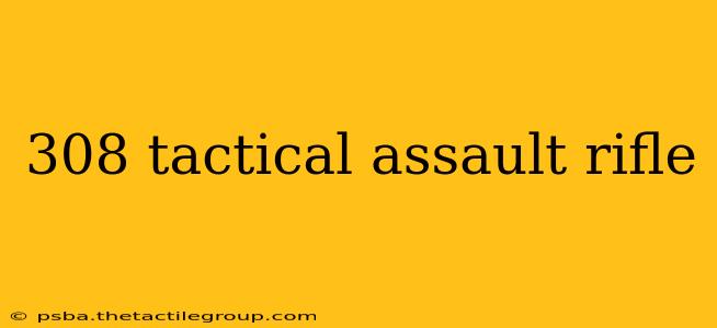 308 tactical assault rifle