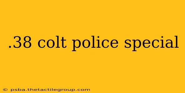 .38 colt police special