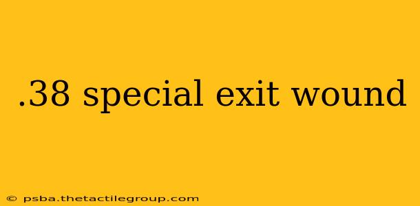 .38 special exit wound