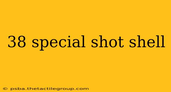 38 special shot shell