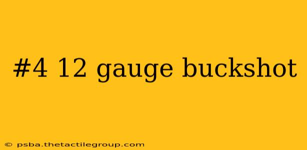 #4 12 gauge buckshot