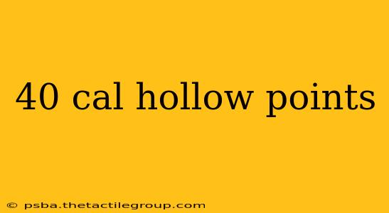 40 cal hollow points