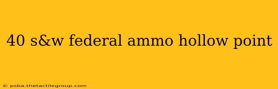 40 s&w federal ammo hollow point