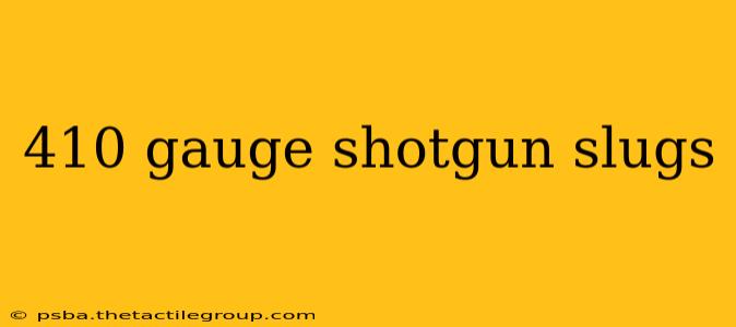 410 gauge shotgun slugs