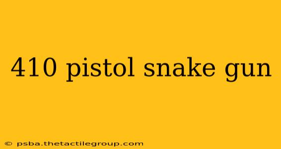 410 pistol snake gun