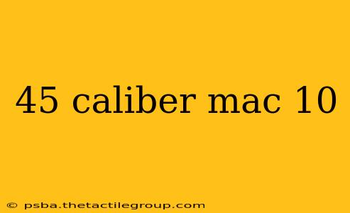 45 caliber mac 10