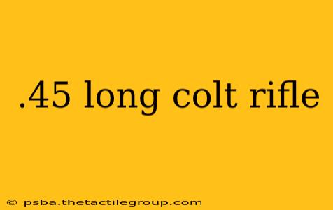 .45 long colt rifle