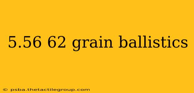 5.56 62 grain ballistics