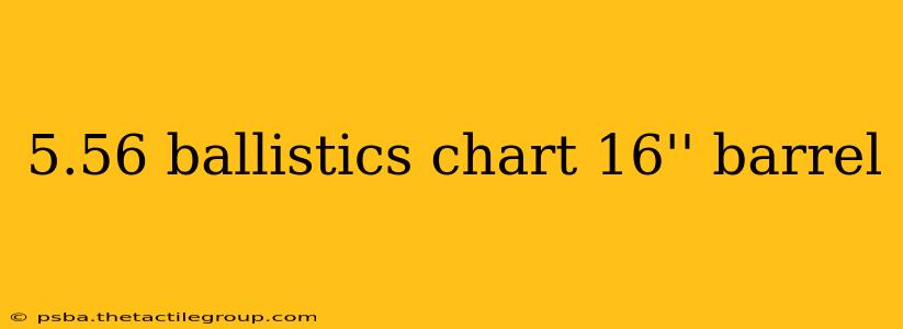 5.56 ballistics chart 16'' barrel