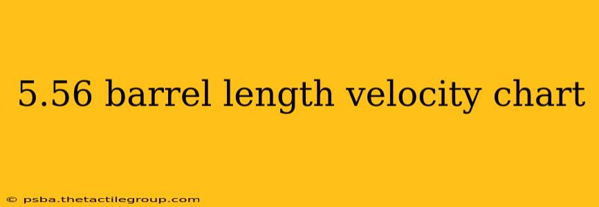 5.56 barrel length velocity chart