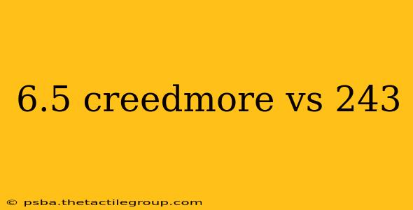 6.5 creedmore vs 243