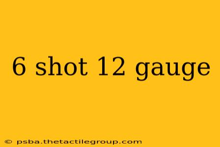 6 shot 12 gauge